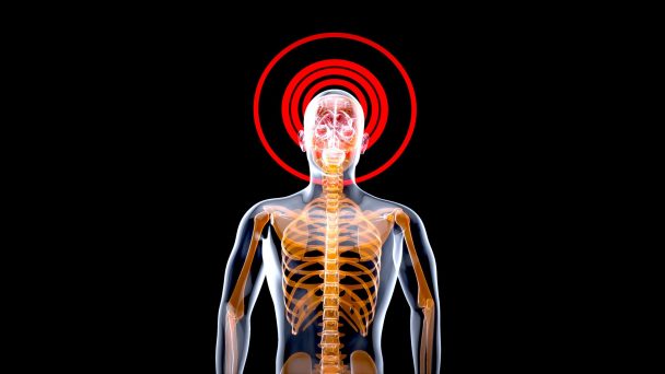 3D Anatomy concept of a Xray man